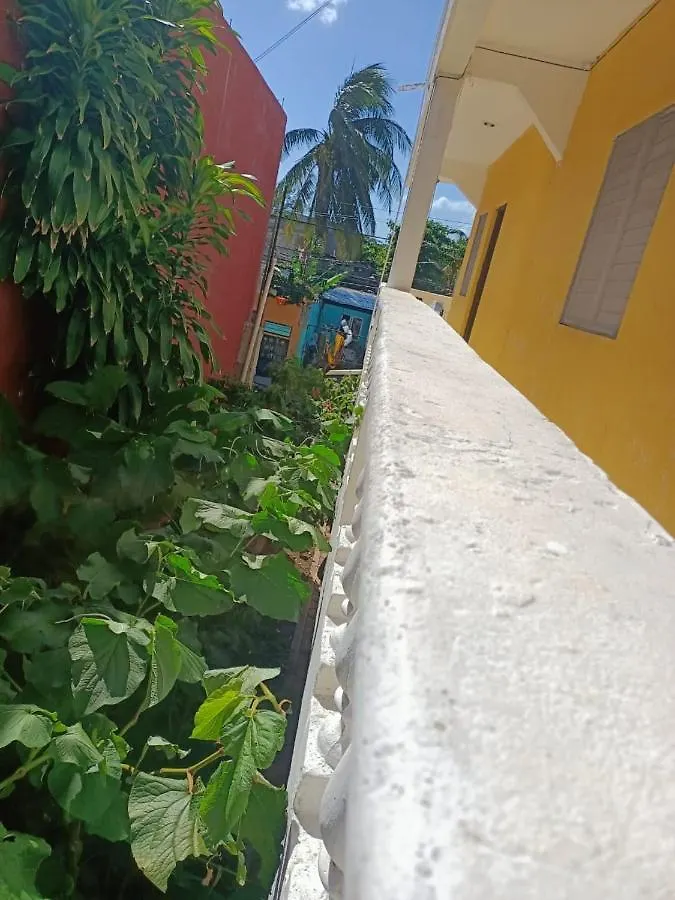 Tucan Playa del Carmen Apartment