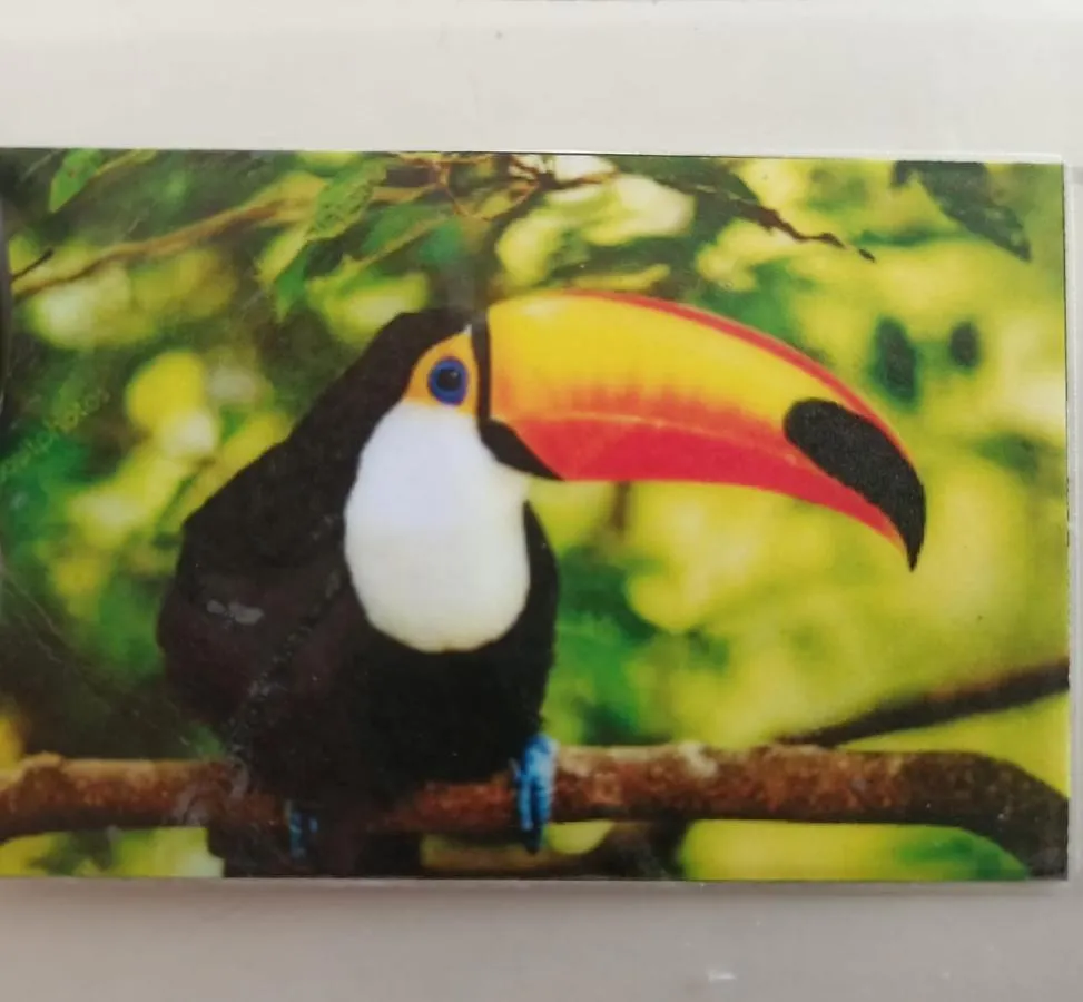 아파트 Tucan 신데 델 카르멘